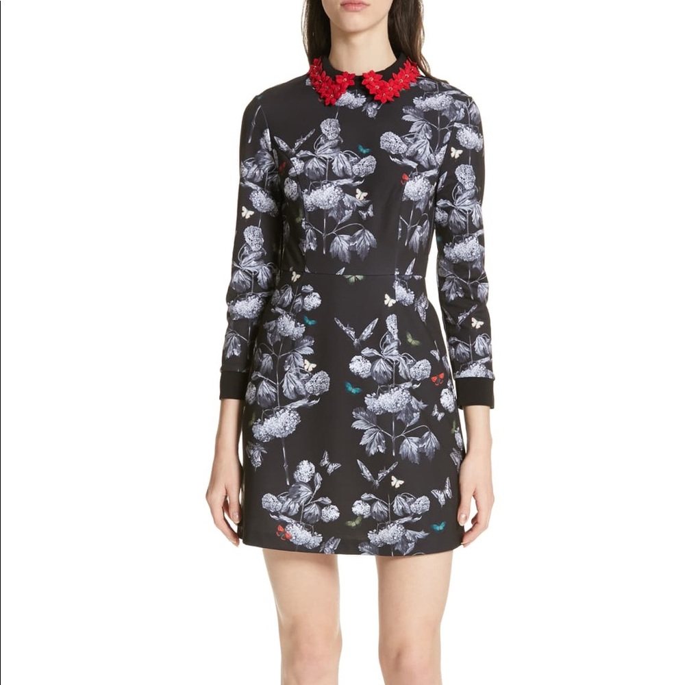 Ted Baker Amaliia Narrnia Floral Collar Dress